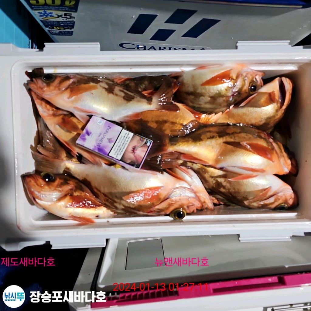 낚시뚜,열기,장승포항,장승포 새바다호,낚시뚜12