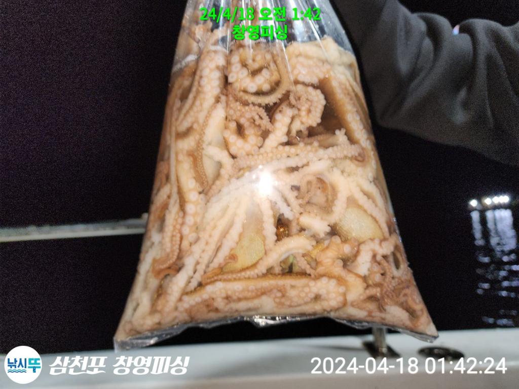 낚시뚜,낙지,삼천포 팔포항,삼천포 창영피싱,낚시뚜23
