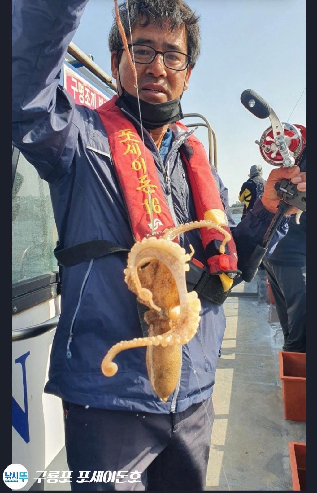 낚시뚜,갑오징어,쭈꾸미,구룡포항,구룡포 포세이돈호,낚시뚜12
