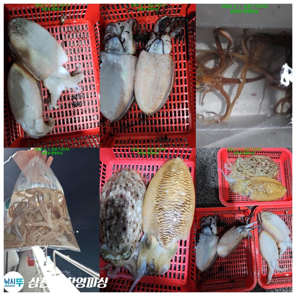 낚시뚜,돌문어,삼천포 팔포항,삼천포 창영피싱,낚시뚜20