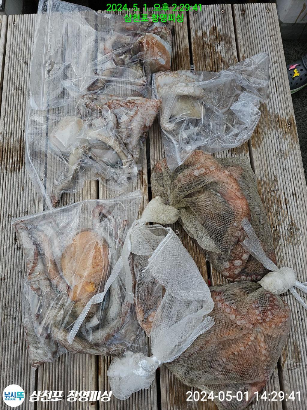 낚시뚜,돌문어,삼천포 팔포항,삼천포 창영피싱,낚시뚜19