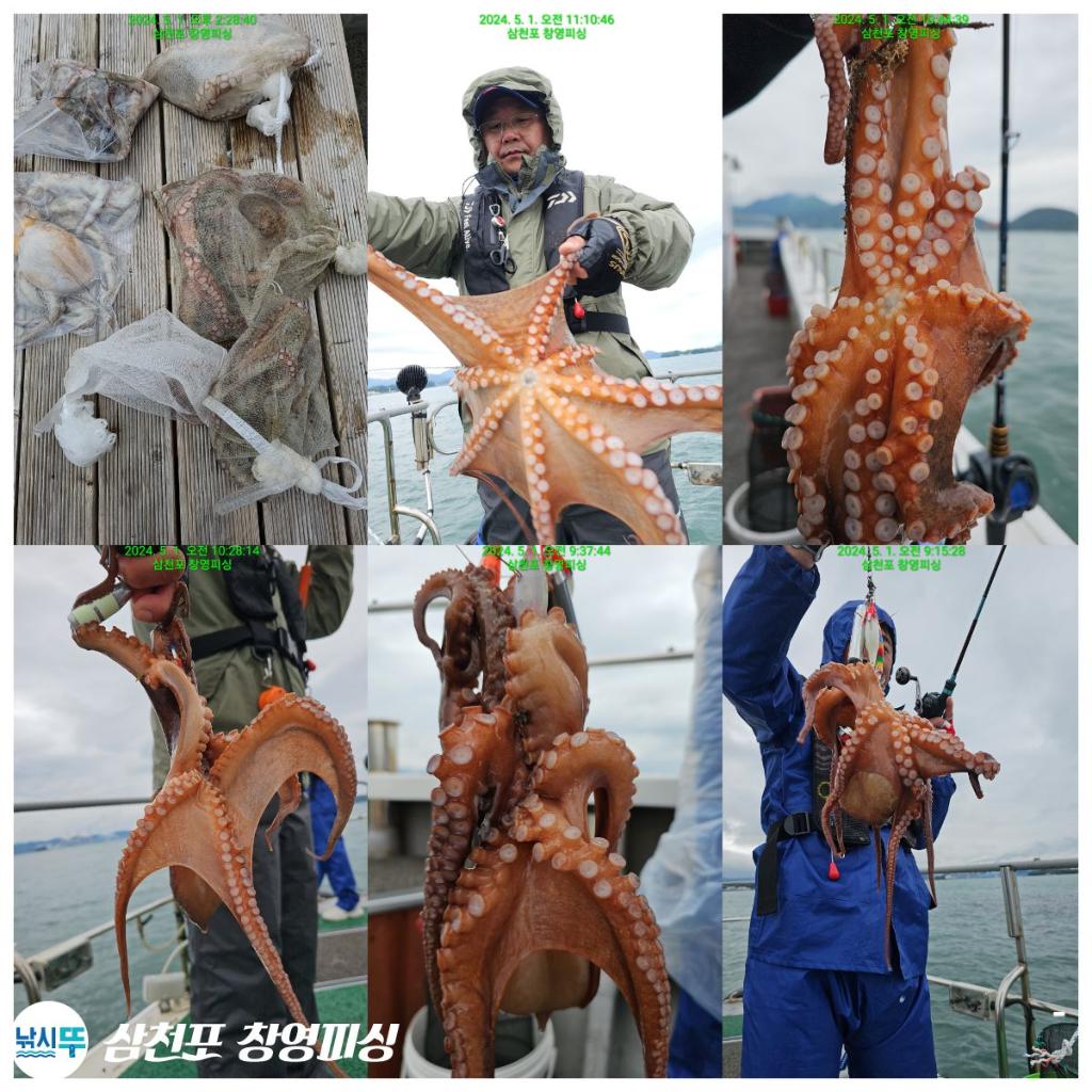 낚시뚜,돌문어,삼천포 팔포항,삼천포 창영피싱,낚시뚜14