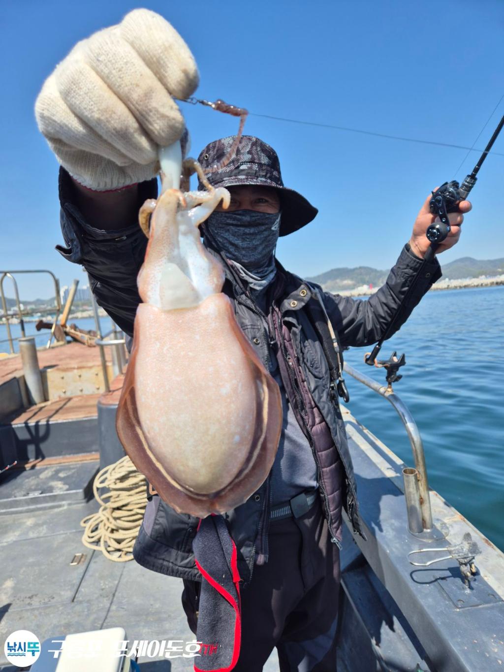 낚시뚜,쭈꾸미,갑오징어,구룡포항,구룡포 포세이돈호,낚시뚜6