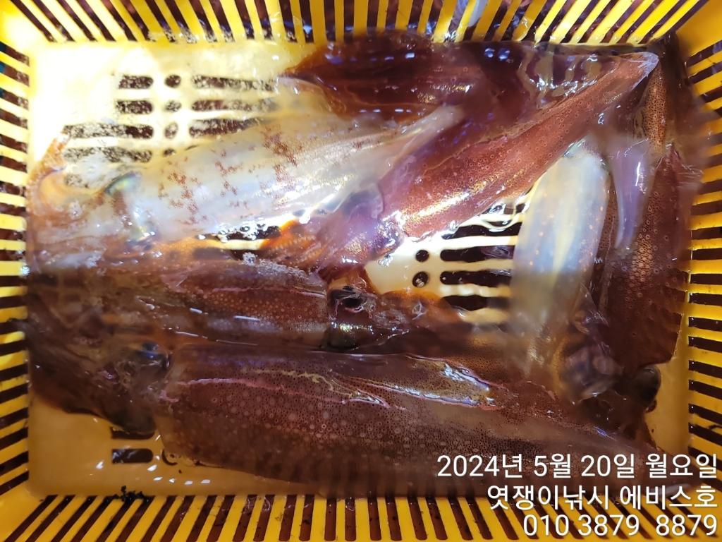 F2386708CM.jpg