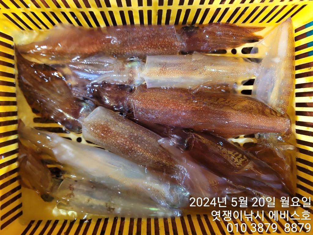 F23867099D.jpg