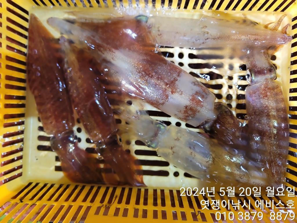 F23867137E.jpg