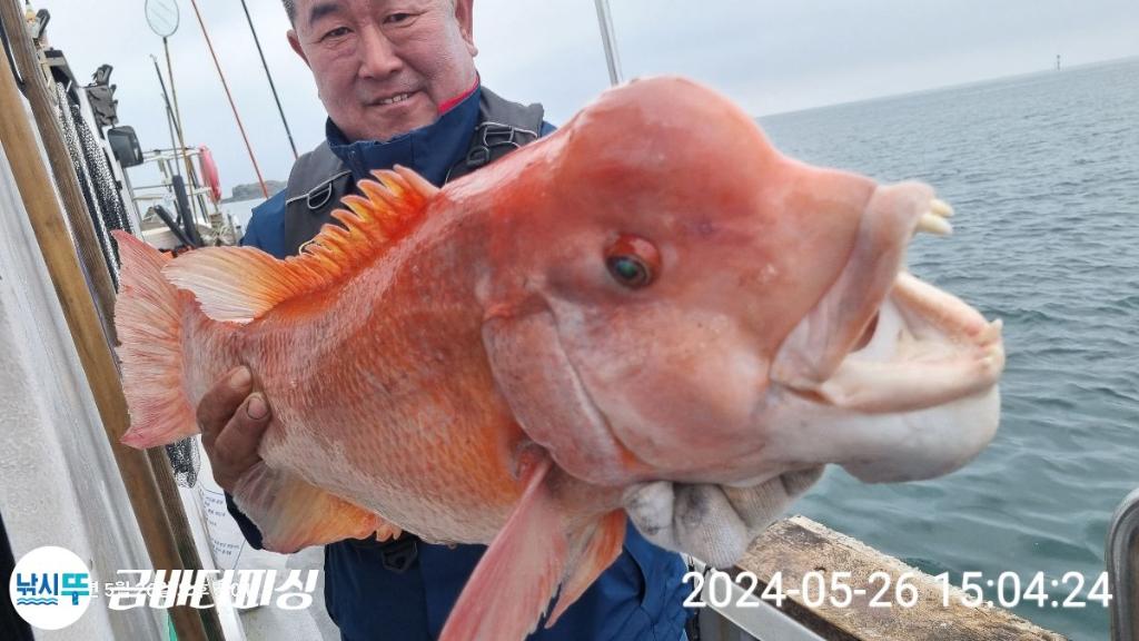 F2392392YI.jpg