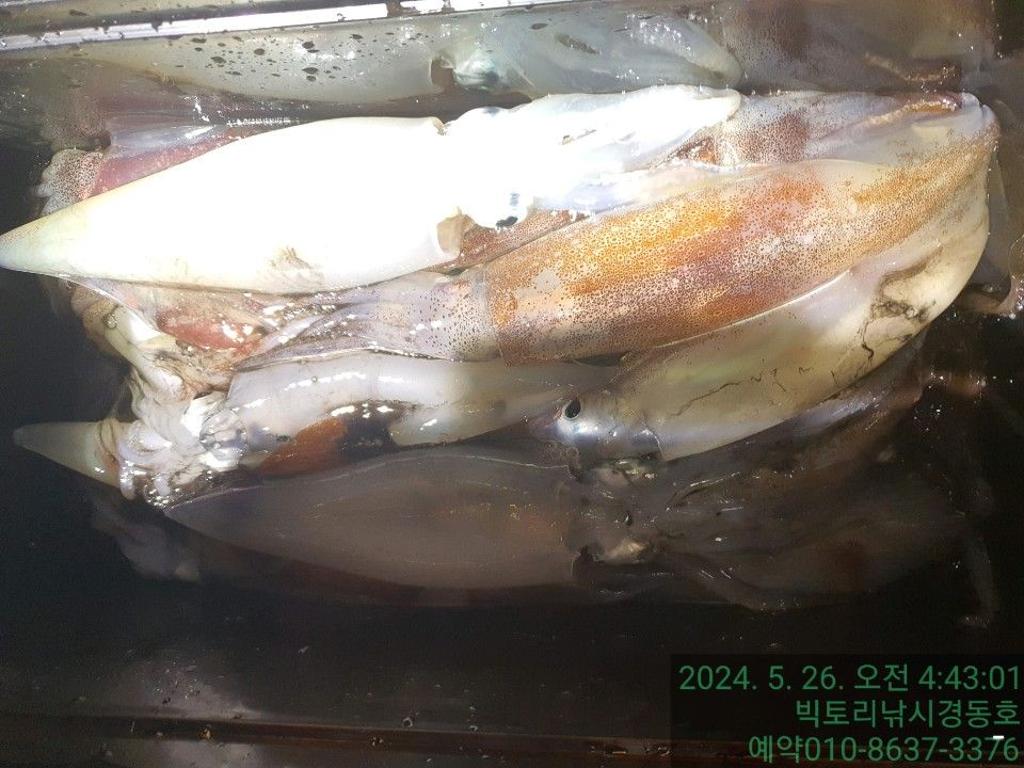 F2392533OH.jpg