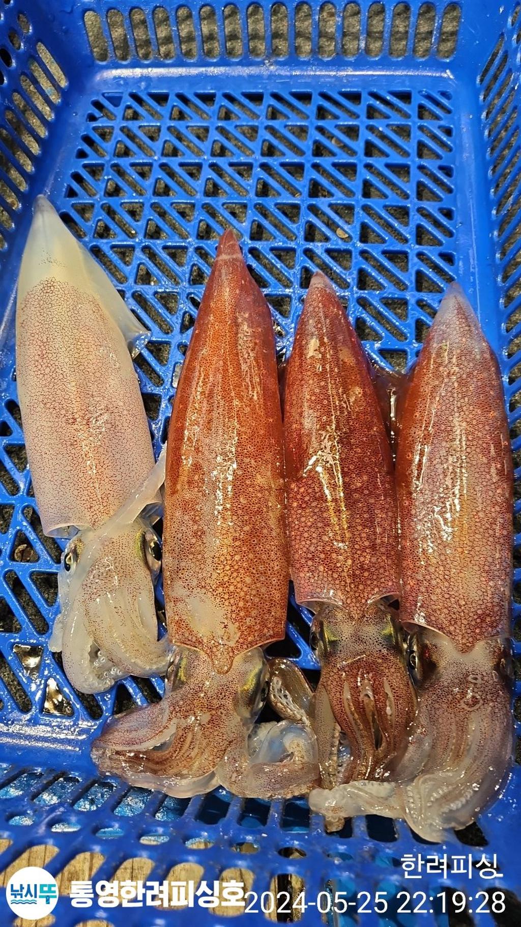 F2392700PX.jpg