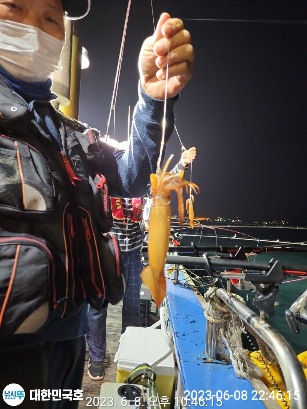 낚시뚜,화살촉오징어,속천항(진해),대한민국호,낚시뚜1