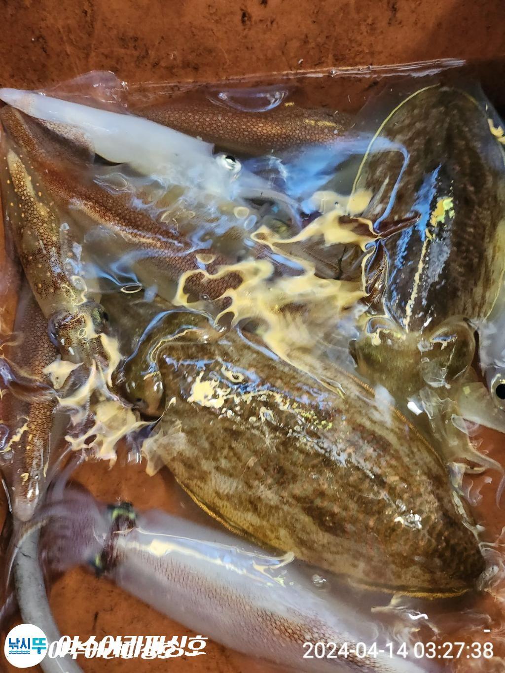 F2394932D8.jpg
