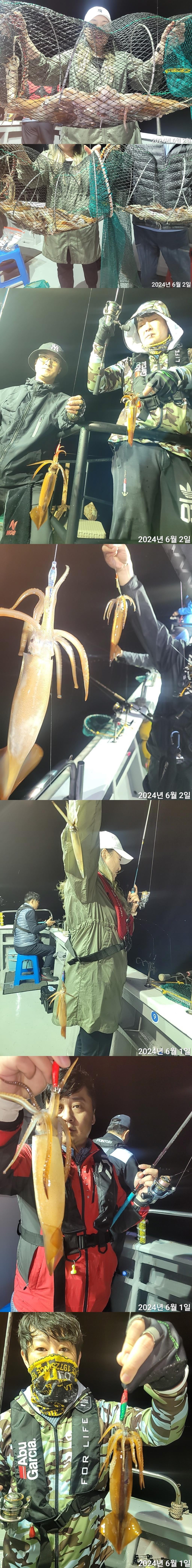 기타 (직접입력), 진해대물낚시, 낚시뚜