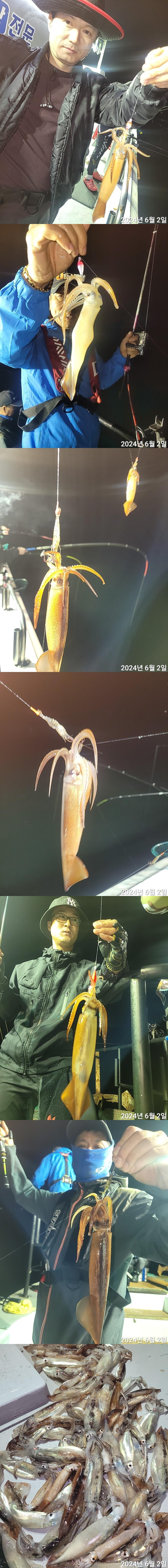 기타 (직접입력), 진해대물낚시, 낚시뚜