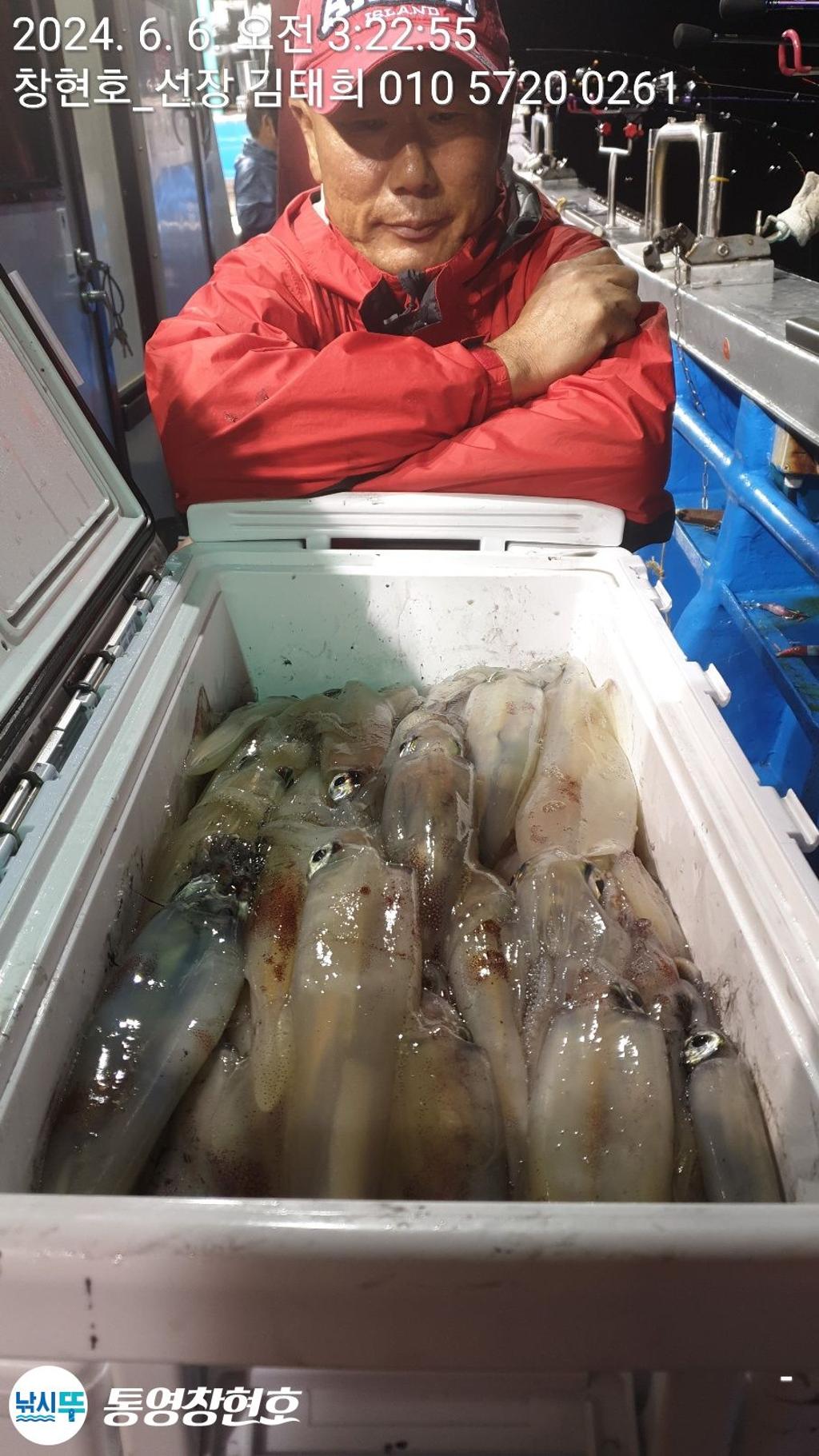 낚시뚜,한치,통영연명항,통영창현호,낚시뚜19
