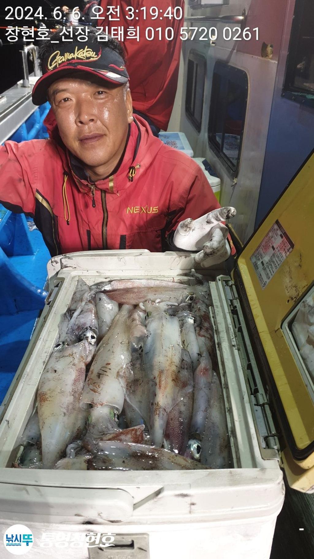 낚시뚜,한치,통영연명항,통영창현호,낚시뚜18