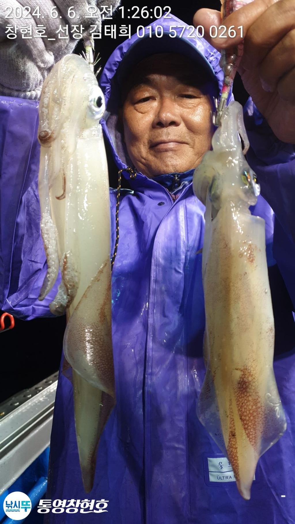 낚시뚜,한치,통영연명항,통영창현호,낚시뚜15
