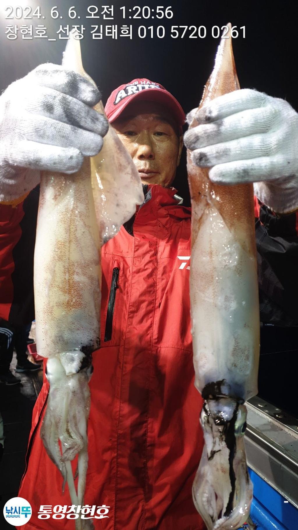 낚시뚜,한치,통영연명항,통영창현호,낚시뚜12