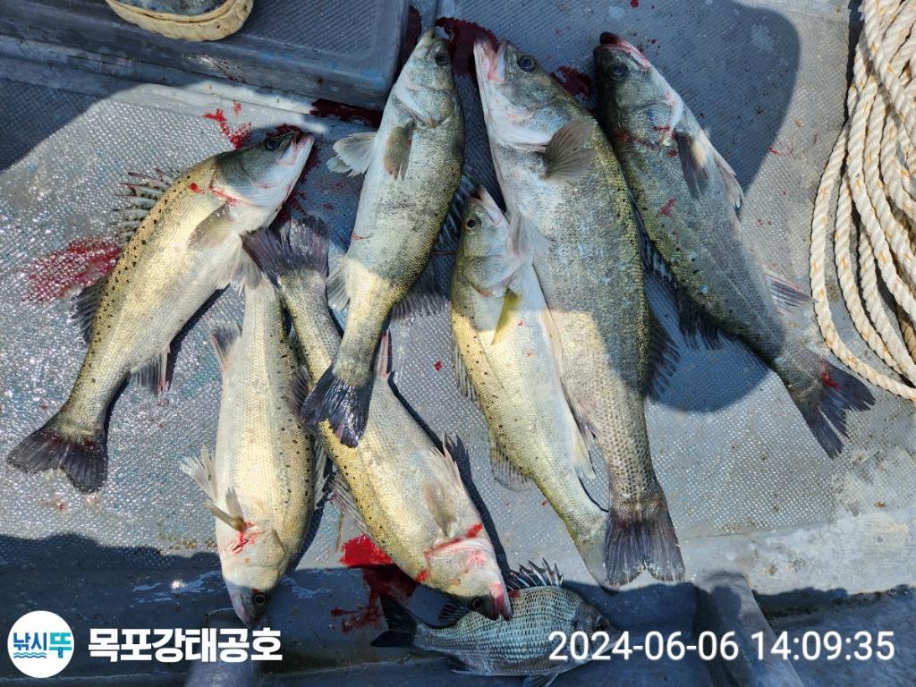 F2404003PM.jpg