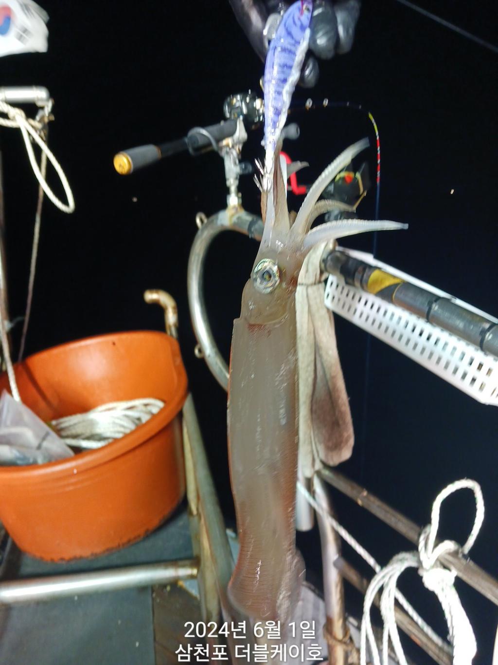 F2405260PN.jpg