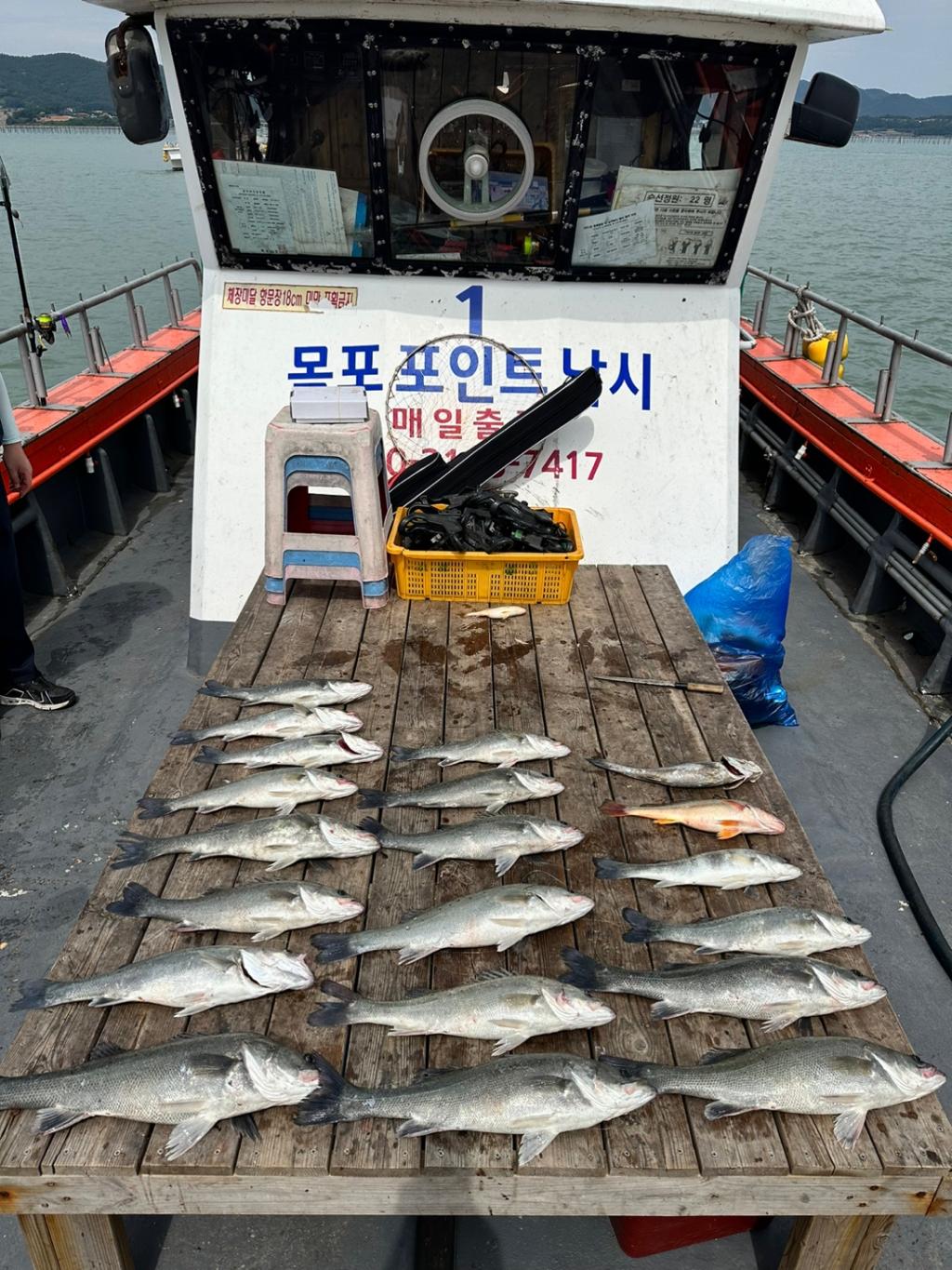 F2405638ZS.jpg