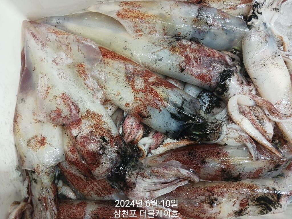 F2410331CY.jpg