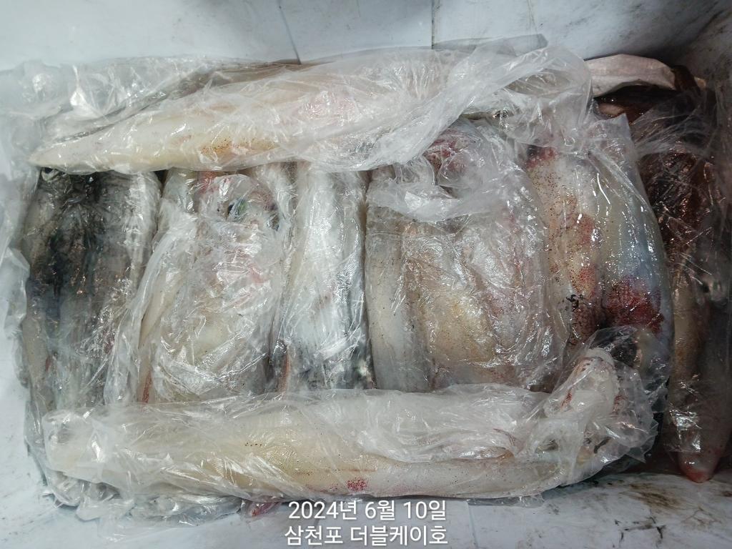 F2410333LU.jpg