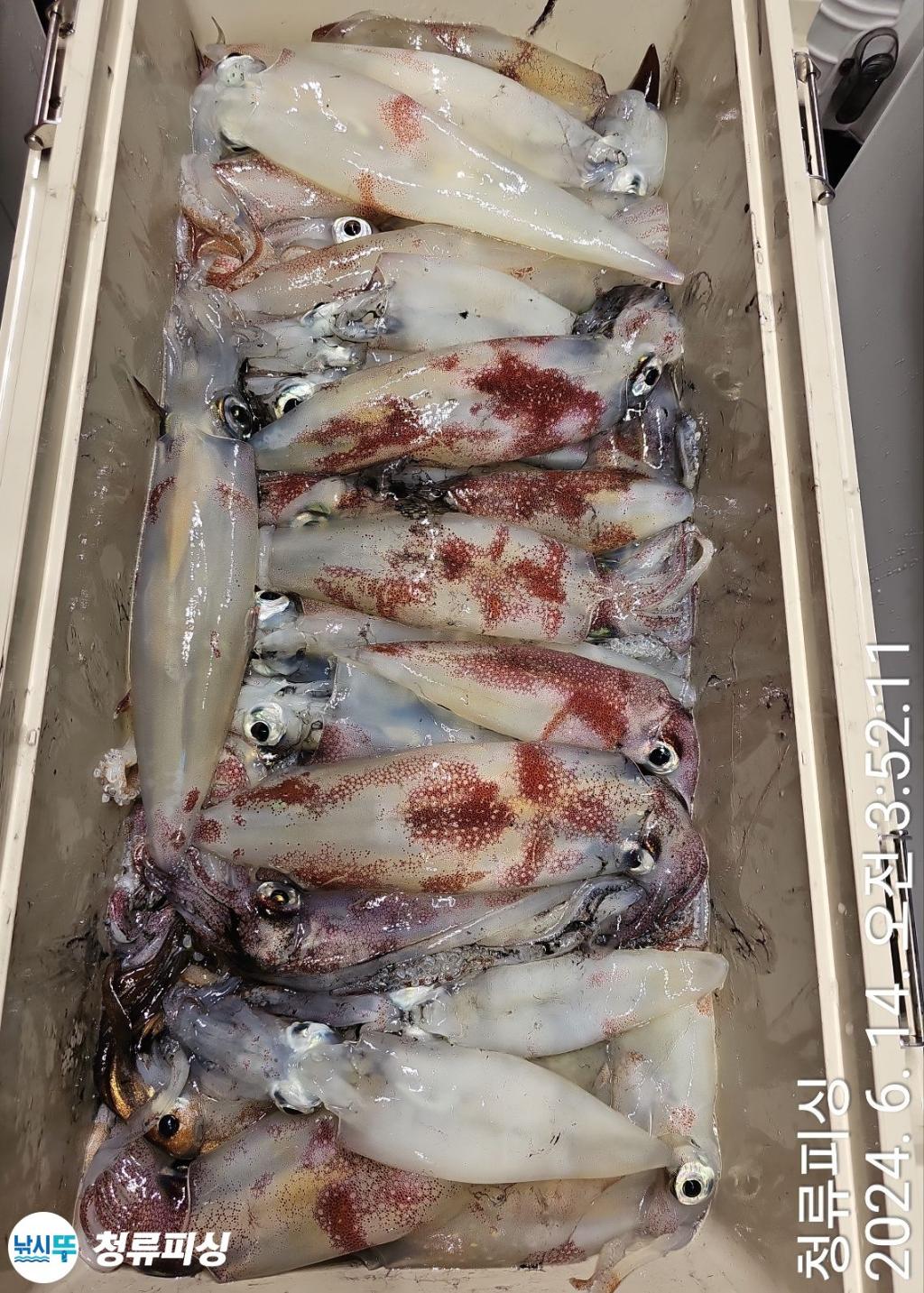 F2416281P7.jpg