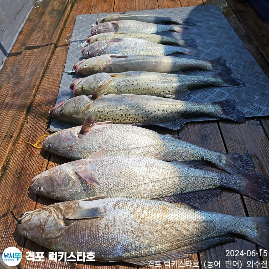 F2418256XU.jpg