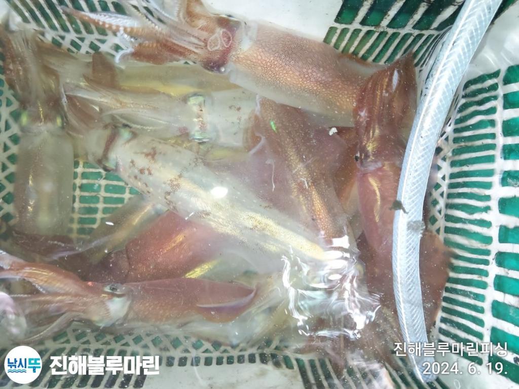 F2422472YU.jpg