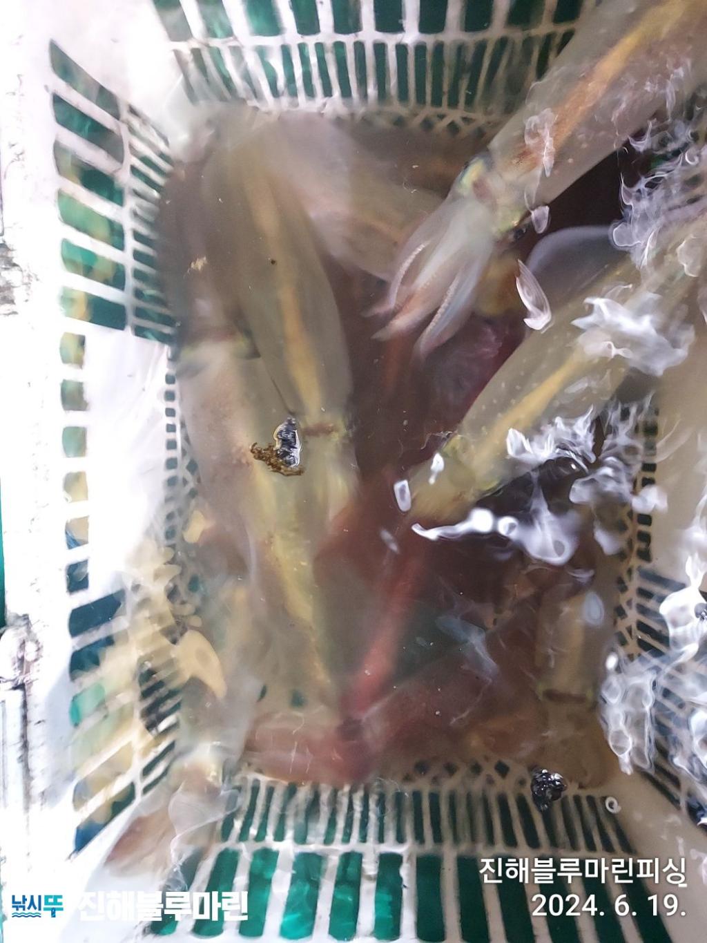 F2422482G8.jpg