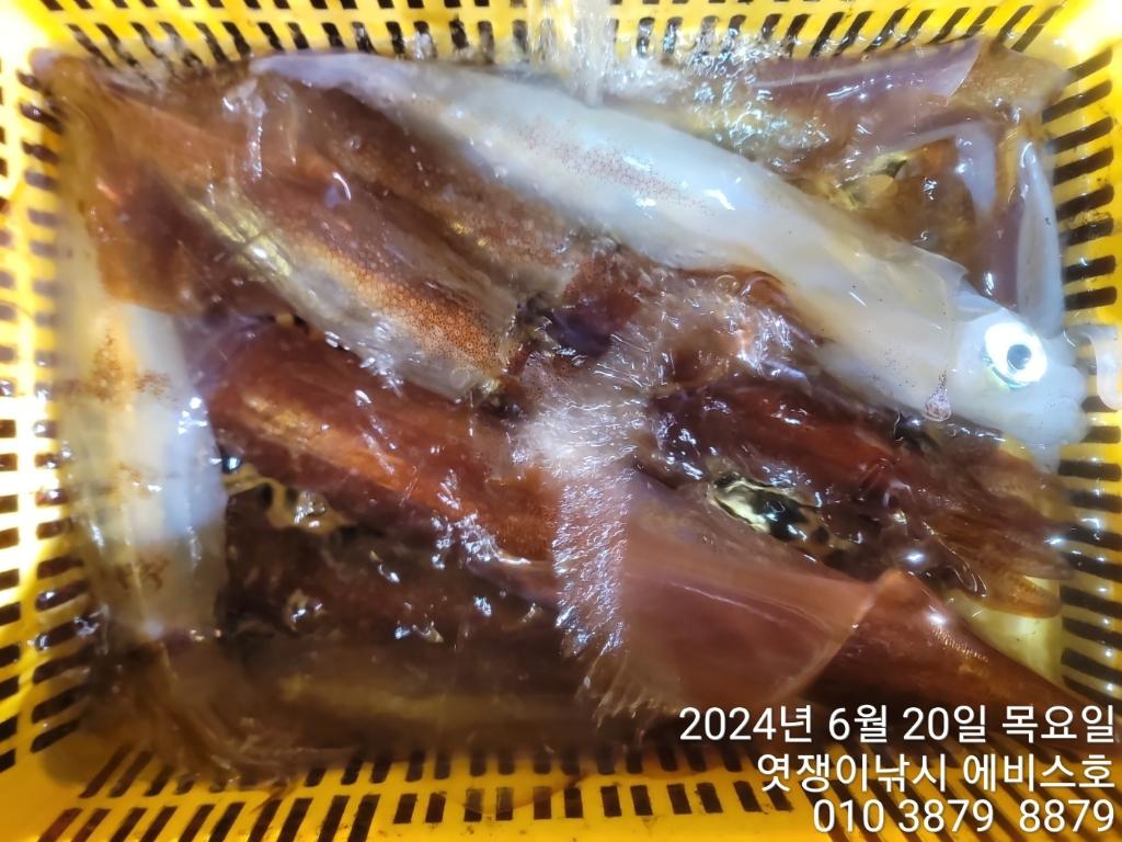 F2425115P9.jpg