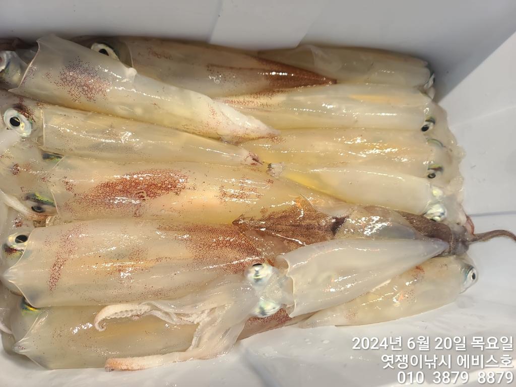 F24251215G.jpg