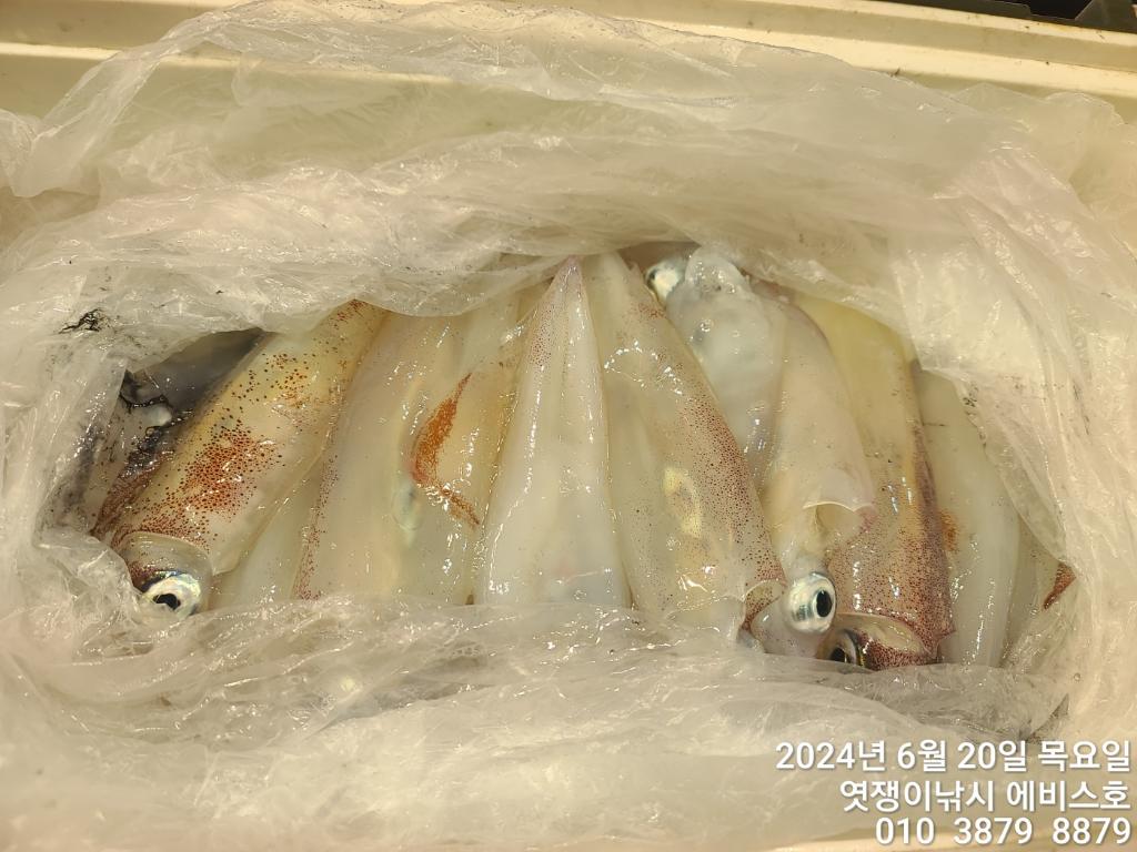 F24251224J.jpg