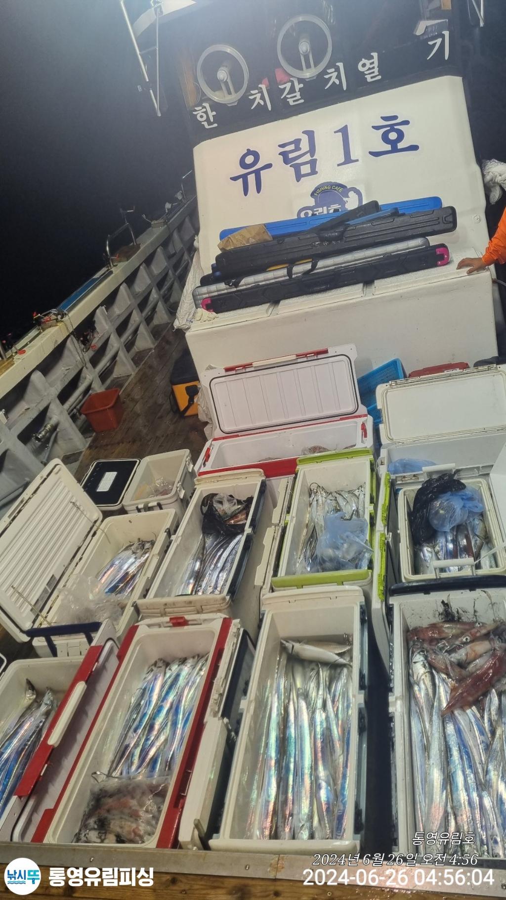 낚시뚜,한치,갈치,통영미수동방파제,통영유림피싱,낚시뚜22