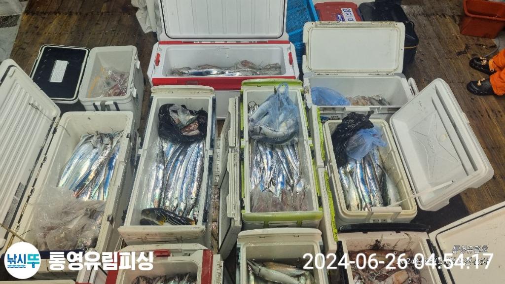 낚시뚜,한치,갈치,통영미수동방파제,통영유림피싱,낚시뚜21