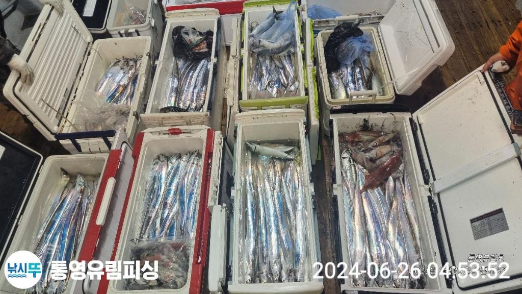 낚시뚜,한치,갈치,통영미수동방파제,통영유림피싱,낚시뚜18