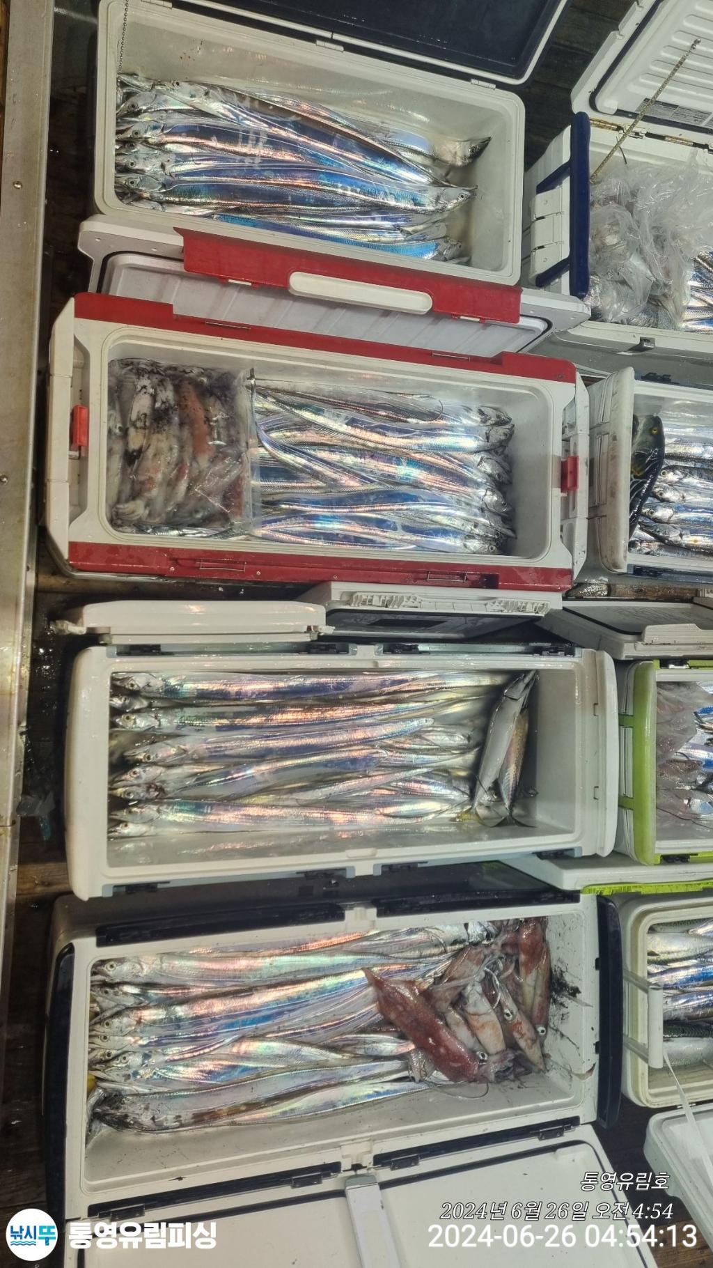 낚시뚜,한치,갈치,통영미수동방파제,통영유림피싱,낚시뚜17