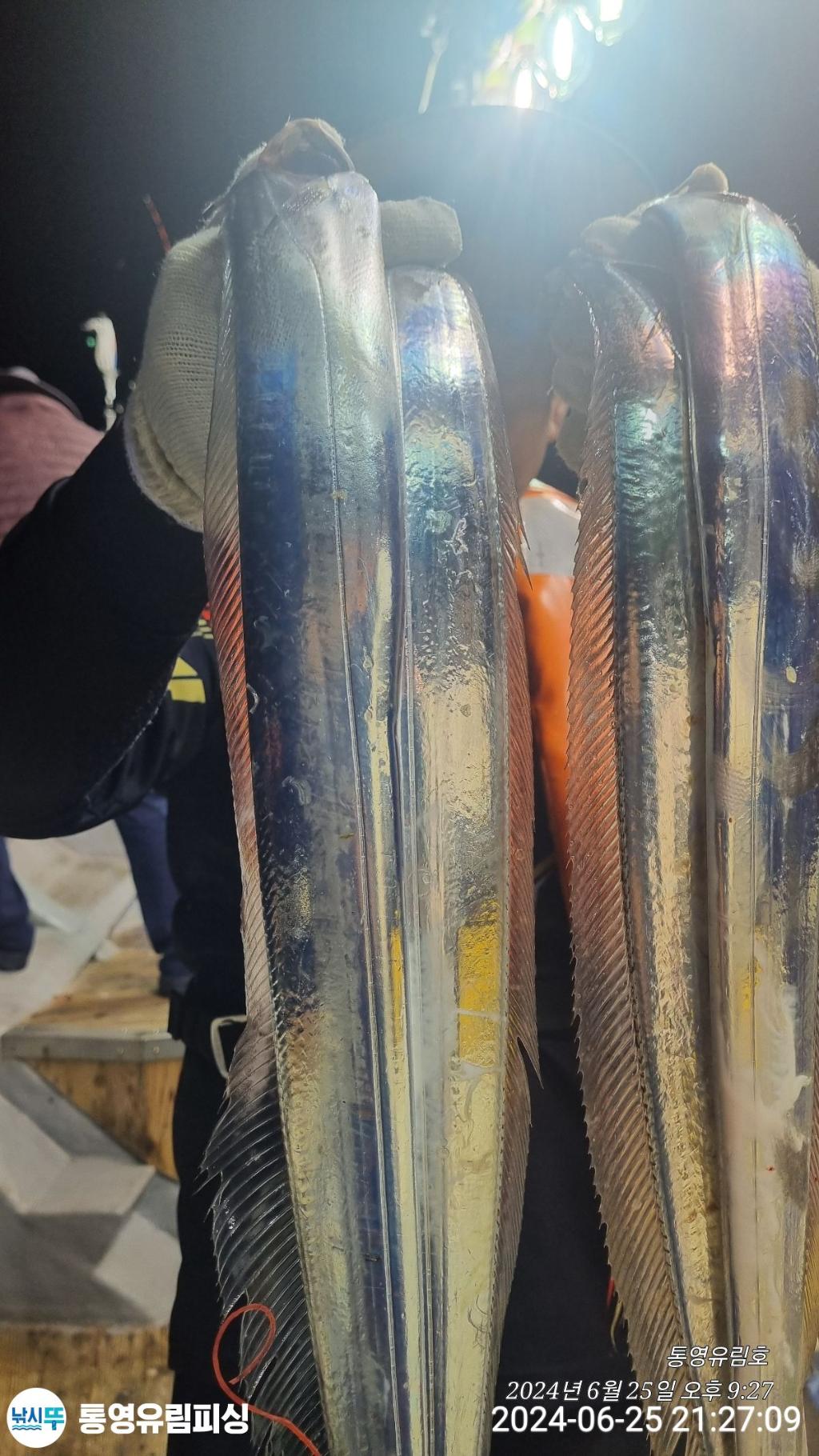낚시뚜,한치,갈치,통영미수동방파제,통영유림피싱,낚시뚜2