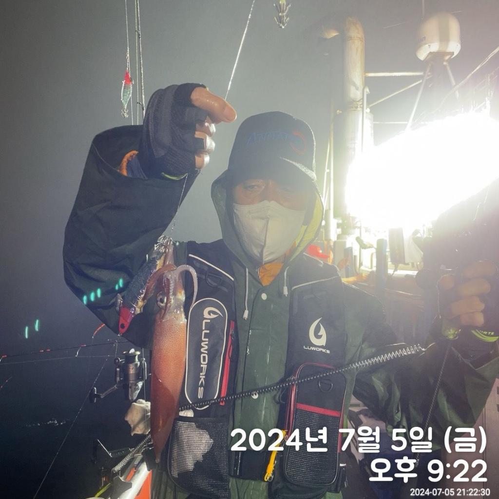 낚시뚜,한치,진해 안골항,김해낚시 비타민호,낚시뚜13