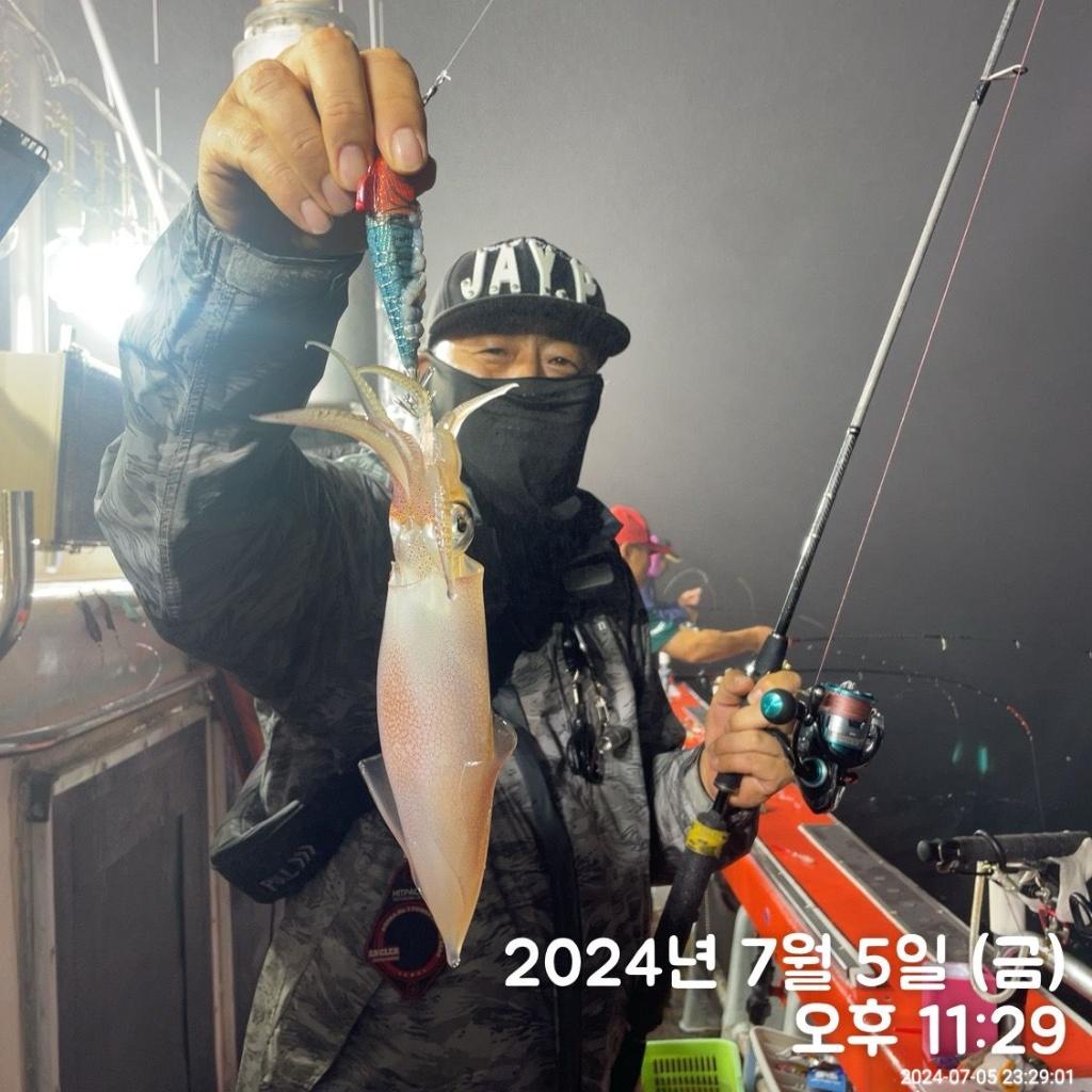 낚시뚜,한치,진해 안골항,김해낚시 비타민호,낚시뚜8