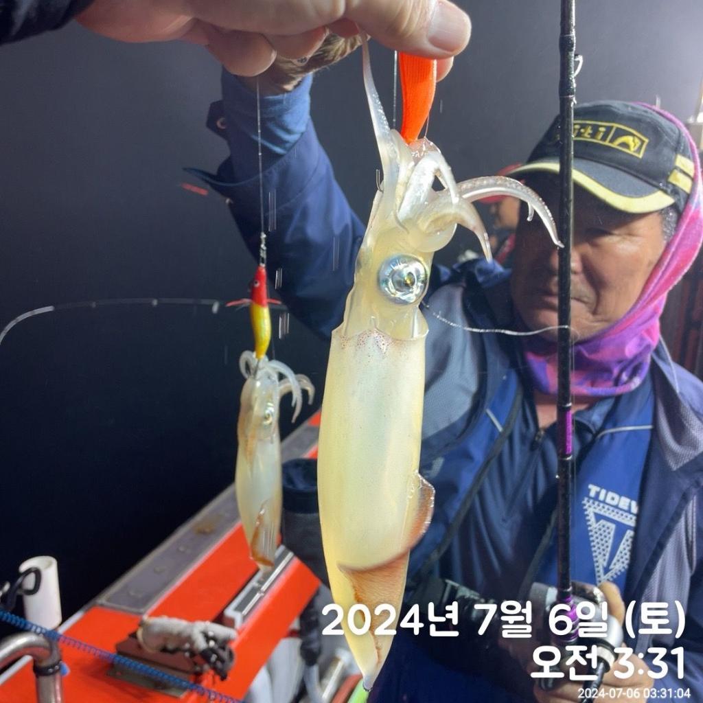 낚시뚜,한치,진해 안골항,김해낚시 비타민호,낚시뚜1