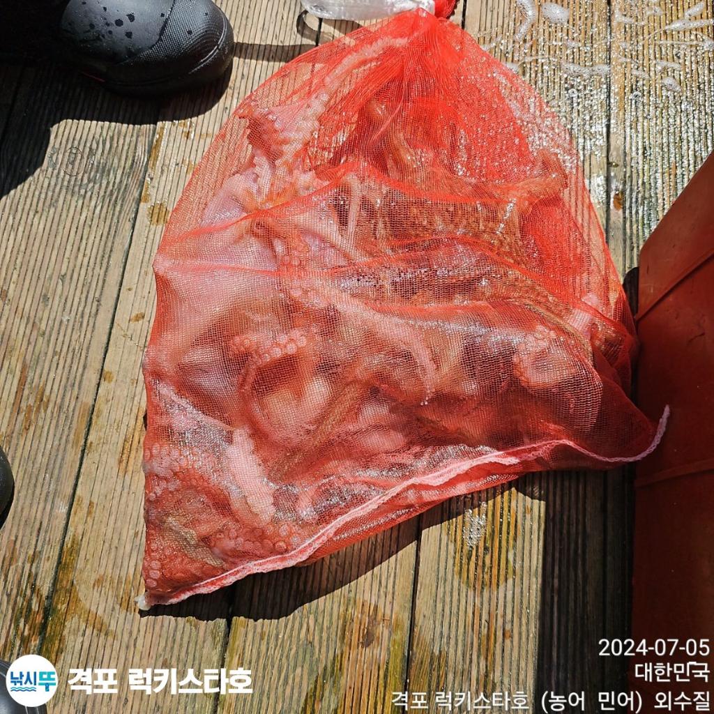 F2437115ND.jpg