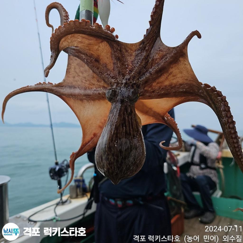 F2440136QQ.jpg