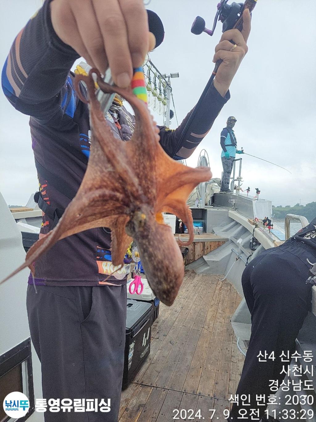 낚시뚜,돌문어,통영미수동방파제,통영유림피싱,낚시뚜9