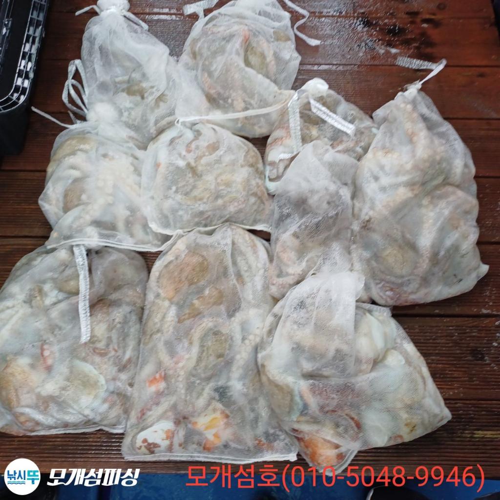 돌문어, 모개섬피싱, 낚시뚜