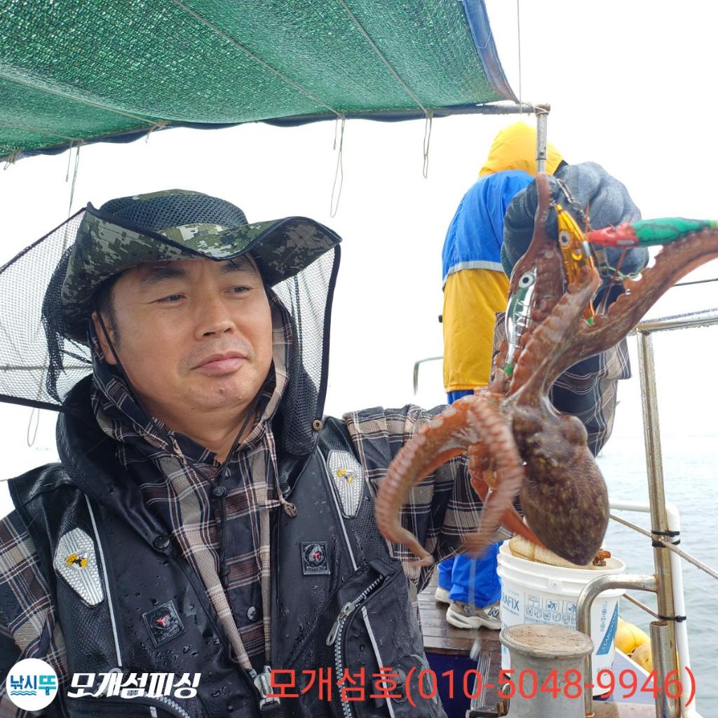 돌문어, 모개섬피싱, 낚시뚜