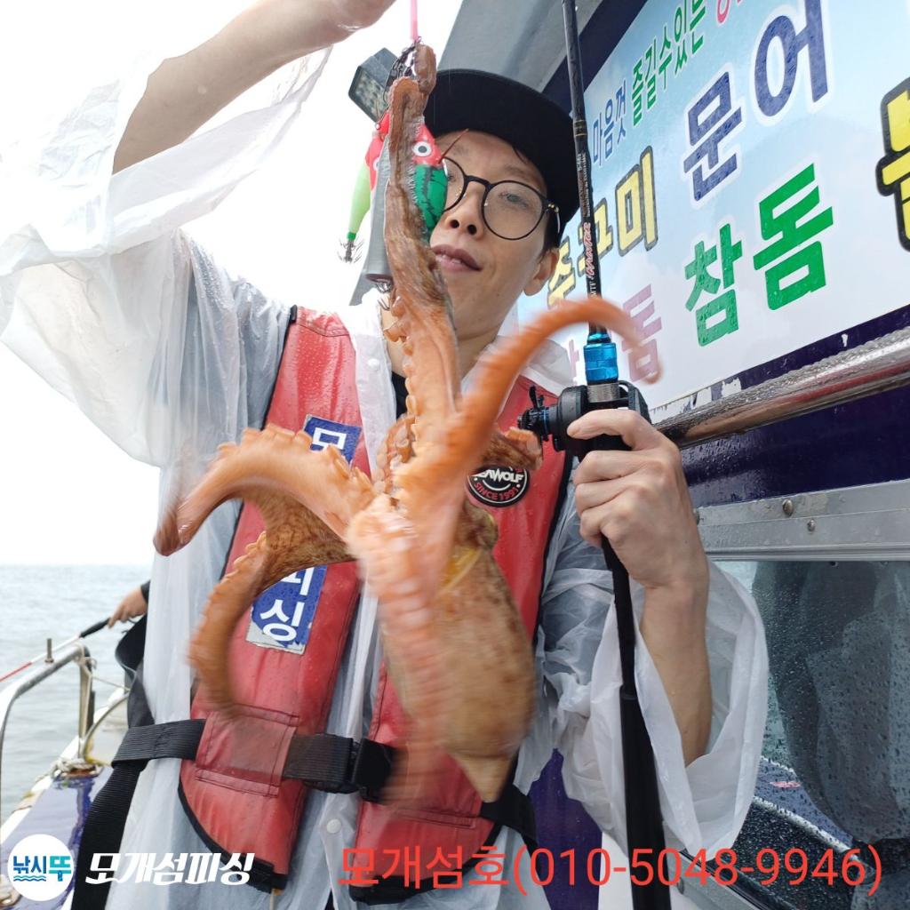 돌문어, 모개섬피싱, 낚시뚜