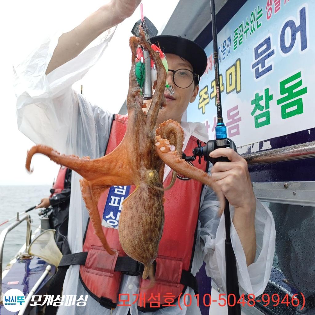 돌문어, 모개섬피싱, 낚시뚜
