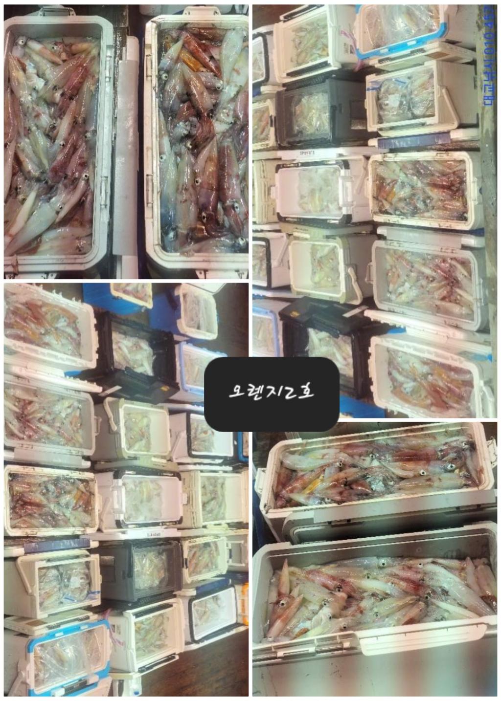 기타 (직접입력), 삼포대교낚시, 낚시뚜