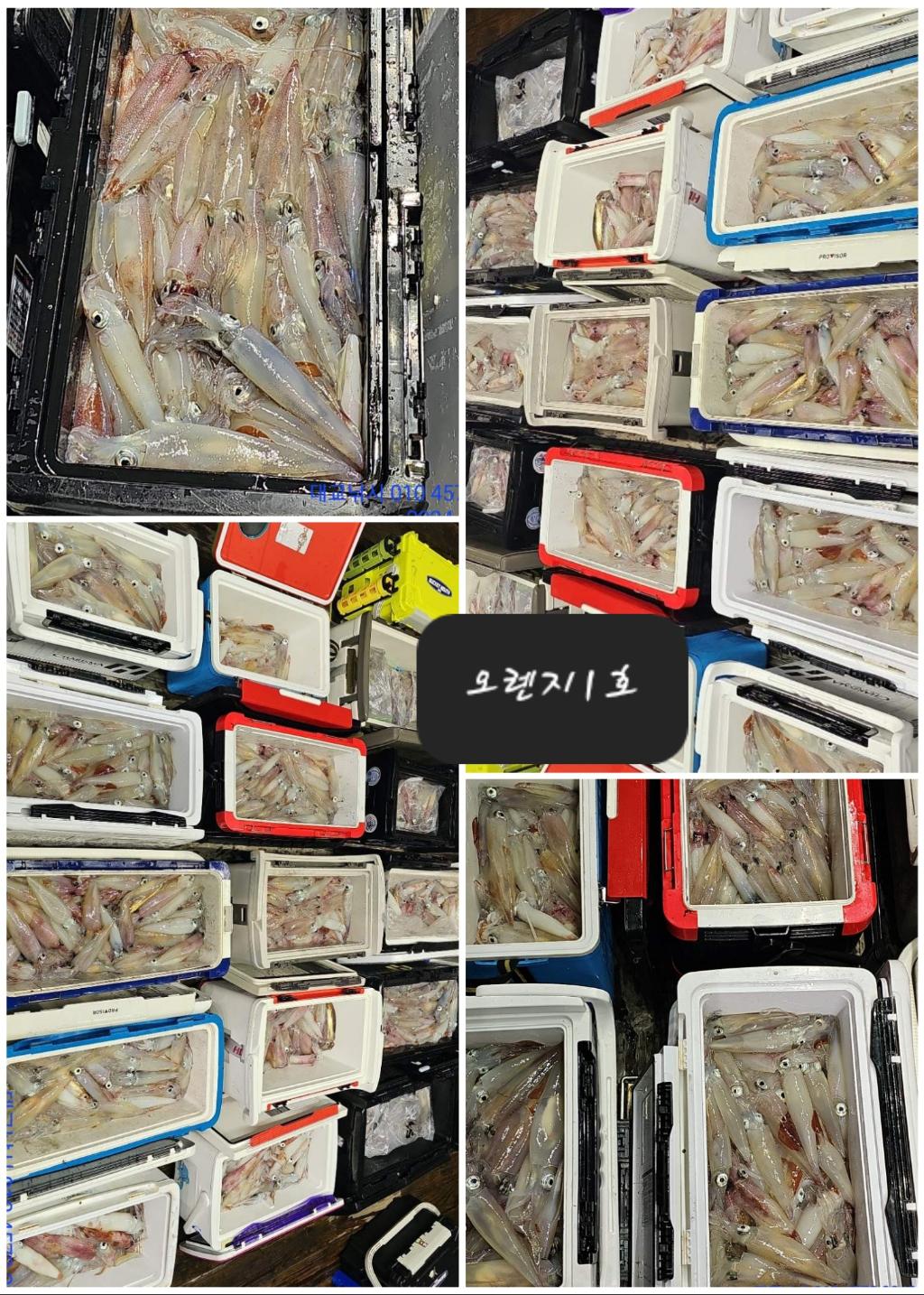 기타 (직접입력), 삼포대교낚시, 낚시뚜